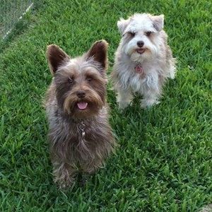 Meet your Posher, Cori